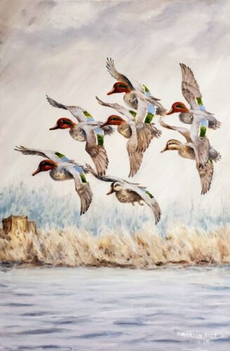 Anderson Riley - Fog Bank, Greenwing Teal 36x24