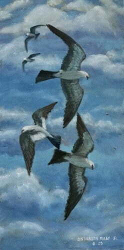 Anderson Riley - Sky Dancing, Mississippi Kites Over Columbia Canal 24x12