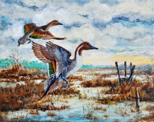 Anderson Riley "Wild Abandon" (Pintails) 16x20