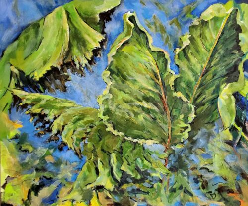Barrie Tompkins - Banana Leaves 30x40