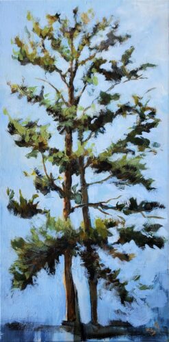 Barrie Tompkins - Loblolly 20x10x.75 Acrylic on Canvas 2026