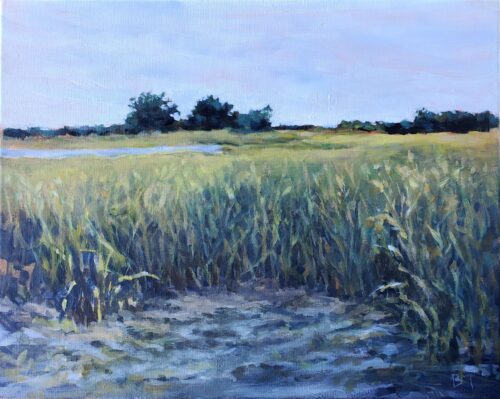 Barrie Tompkins - Salt Marsh 16x20x.75 Acrylic on Canvas 2026