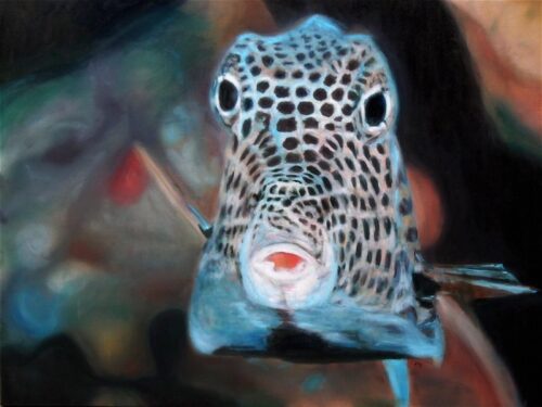 Debra Paysinger Fin V 30x40 Giclee on Canvas