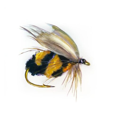 Debra Paysinger - Fish Cabin LIX 12x12