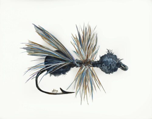 Debra Paysinger - Fish Cabin LXIX (69) 11x14x.75