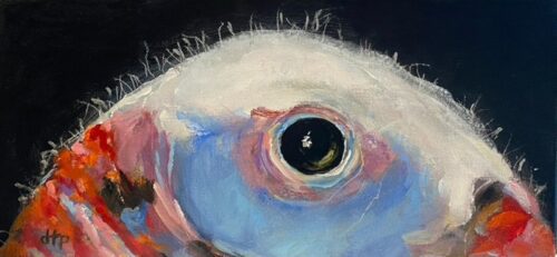 Debra Paysinger Meleagris Ocularis 3 6x12 Acrylic on Canvas