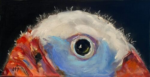 Debra Paysinger - Meleagris ocularis 5 6x12