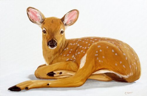 Rachael Sherer All Ears (Fawn) 2026 Oil on Canvas 24x36x1.5