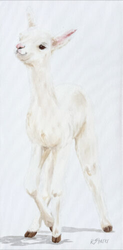 Rachael Sherer Flaunt It! (Cria - Llama) 2026 Oil on Canvas 20x10x1.5