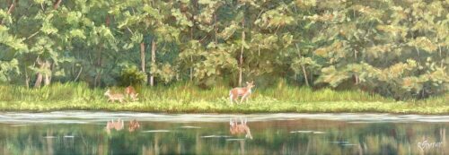 Rachael Sherer - Lingering at the Water's Edge 8x24x1.5 #1638