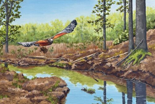 Rachael Sherer - Nesting 24x36 Oil on Canvas