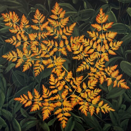 Rachael Sherer - Ordered Chaos 36x36 Oil on Canvas