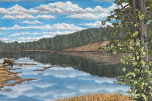 Rachael Sherer - Psalm 104:10-13 24x36