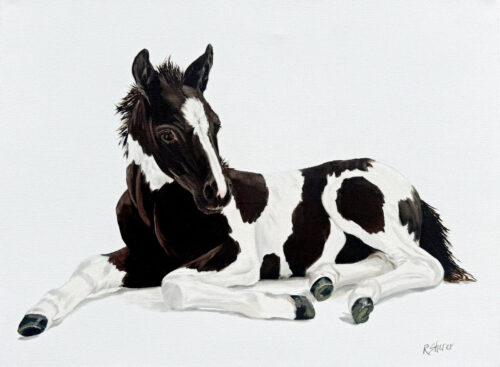 Rachael Sherer Spot On (Paint Horse Foal) 2026 Oil on Canvas 18x24x1.5
