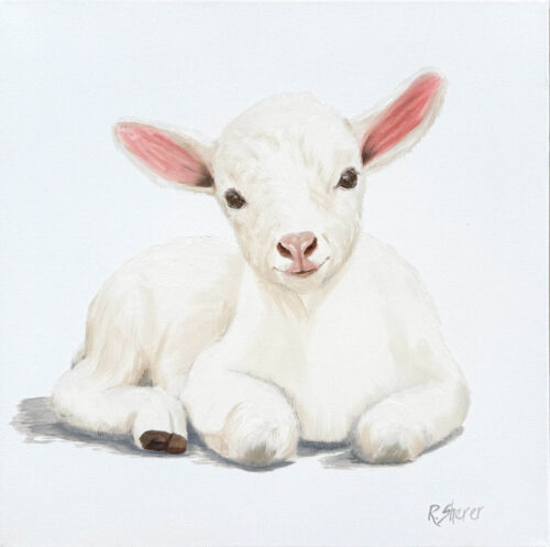 Rachael Sherer Such a Good Kid (Kid) 2026 Oil on Canvas 16x16x1.5