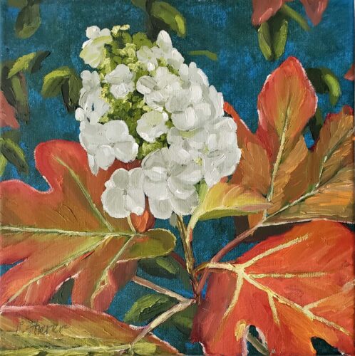 Rachael Sherer - Wild Hydrangea Impression 12x12