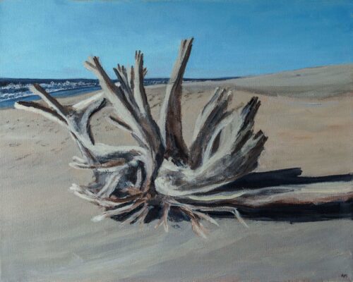 Ruth Saunders Driftwood at Edisto 16x20x1.5 Oil on Canvas 2026